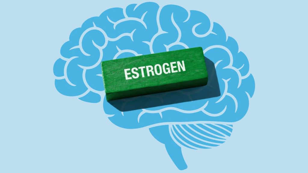 Can Estrogen Therapy Cut Alzheimer’s Risk? New Study Hints at Potential Link