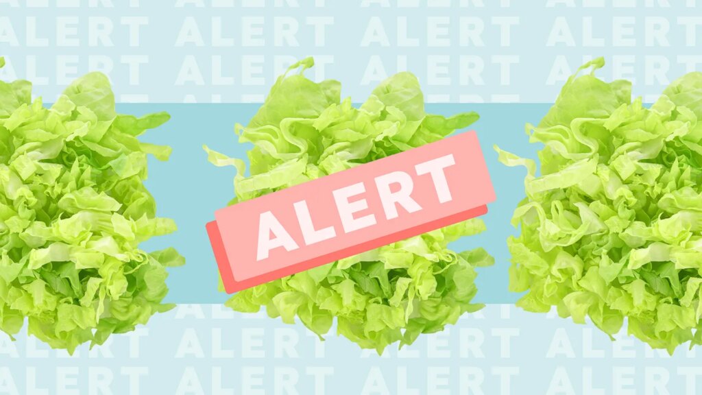 Is It Safe to Eat Lettuce Yet? The Latest on the Cyclosporiasis Outbreak