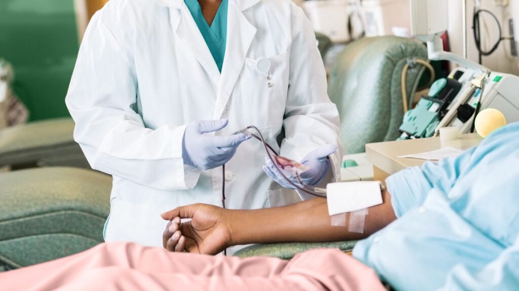 What Happens When You Give Blood and How to Prepare and Recover