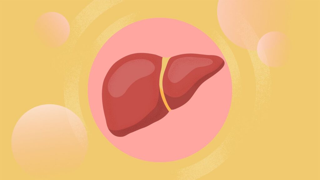 What You Need to Know About Liver Health