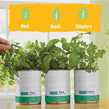 Kitchen Herb Garden Kit