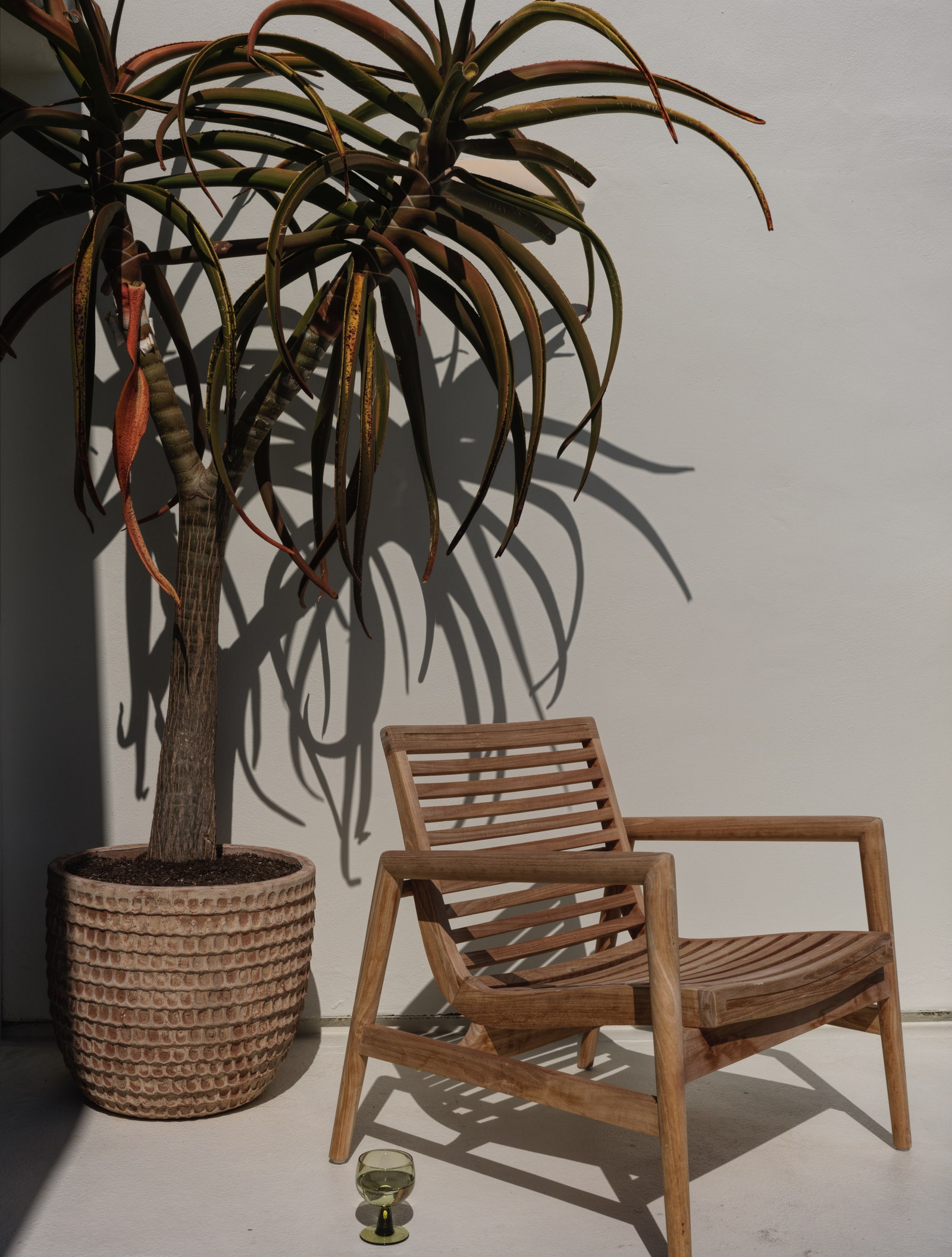 Image may contain Chair Furniture Plant and Potted Plant