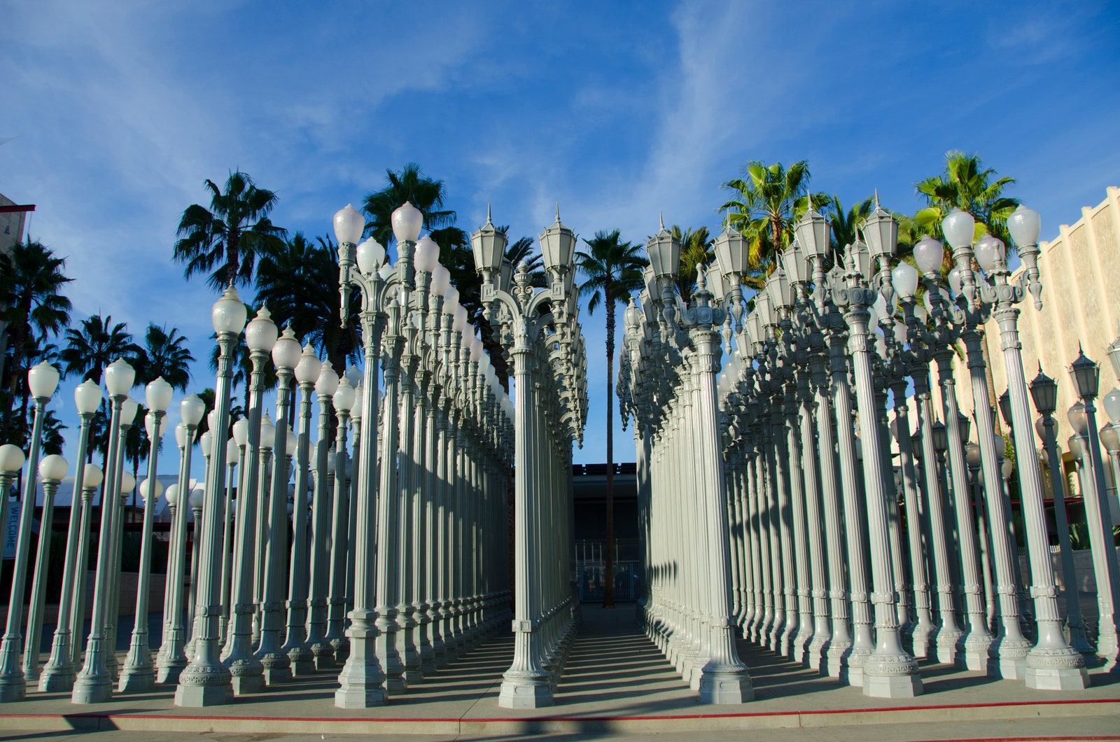 Image may contain Palm Tree Plant Tree City Summer Fence Nature Outdoors Scenery Urban Yard Road and Street