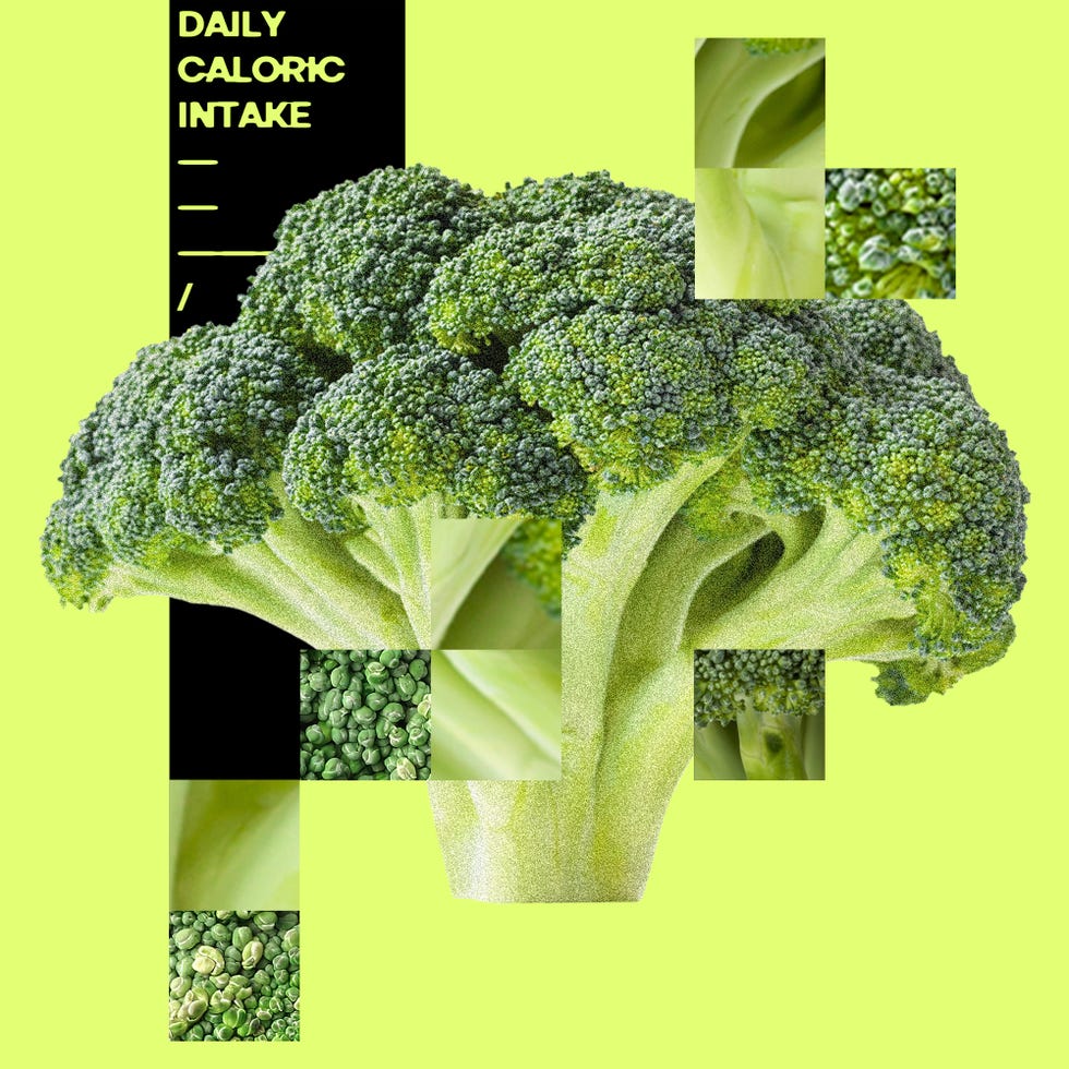 broccoli illustration