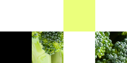 visual representation of broccoli and its textures