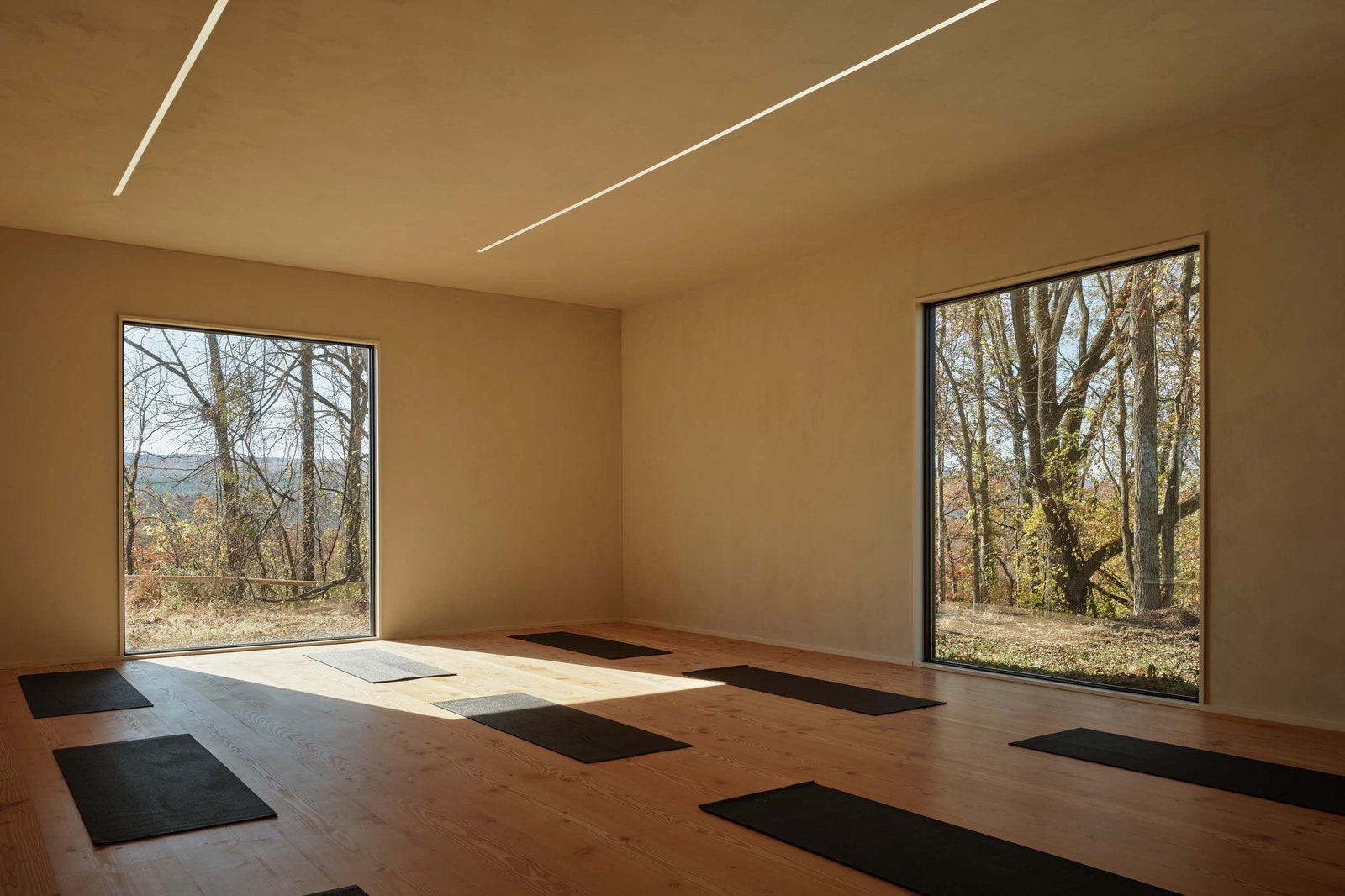 Image may contain Floor Indoors Interior Design Wood Flooring Corner Home Decor Rug Window and Hardwood