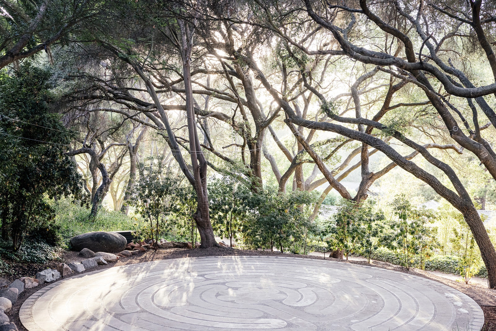 Image may contain Plant Vegetation Grass Nature Outdoors Park Garden Tree Land Woodland City and Grove