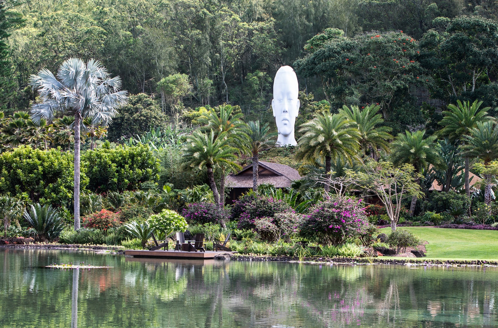 Image may contain Nature Outdoors Pond Water Grass Park Plant Garden Vegetation Scenery Person and Tree