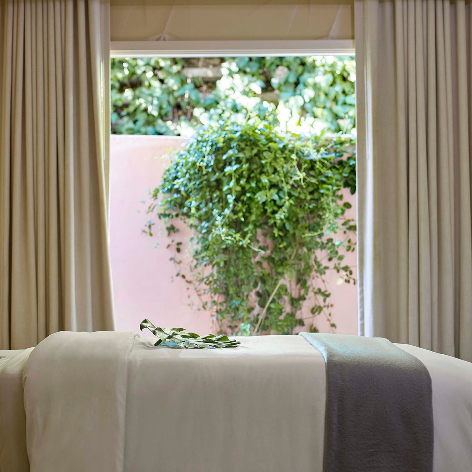 Image may contain Plant Potted Plant Bed Furniture Window Windowsill and Spa