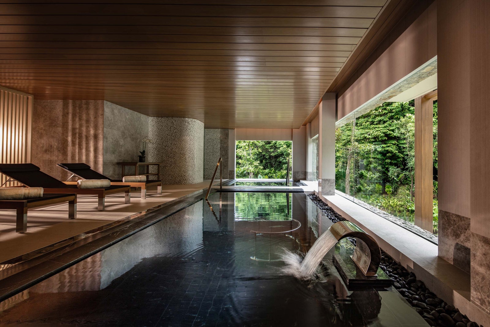 Image may contain Floor Pool Water Swimming Pool and Plant